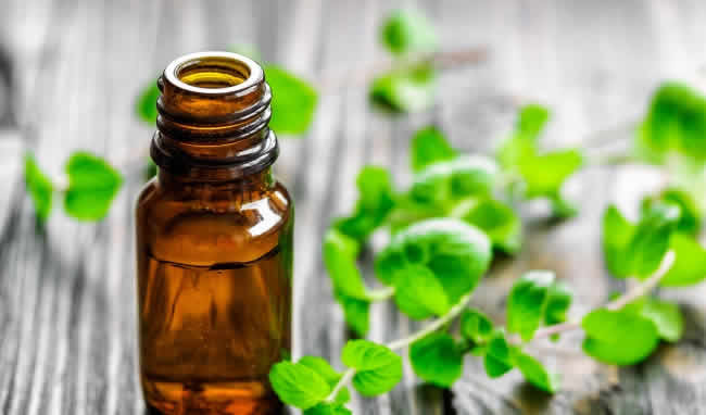 TOP 9 Tinh dầu mọc tóc được xem là “thần dược” kích thích mọc tóc nhanh và hiệu quả nhất
