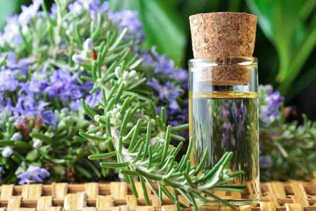 TOP 9 Tinh dầu mọc tóc được xem là “thần dược” kích thích mọc tóc nhanh và hiệu quả nhất