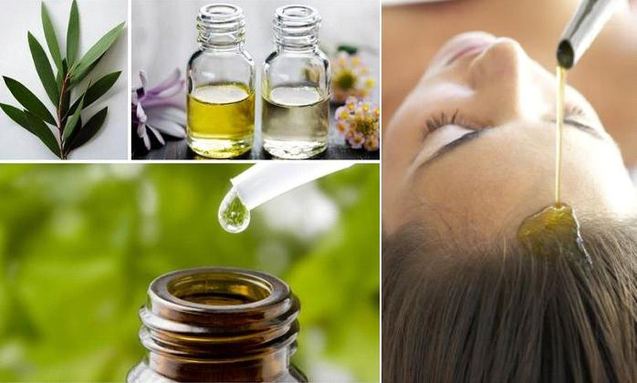 Khám phá công dụng của dầu tràm trong làm đẹp của phái nữ
