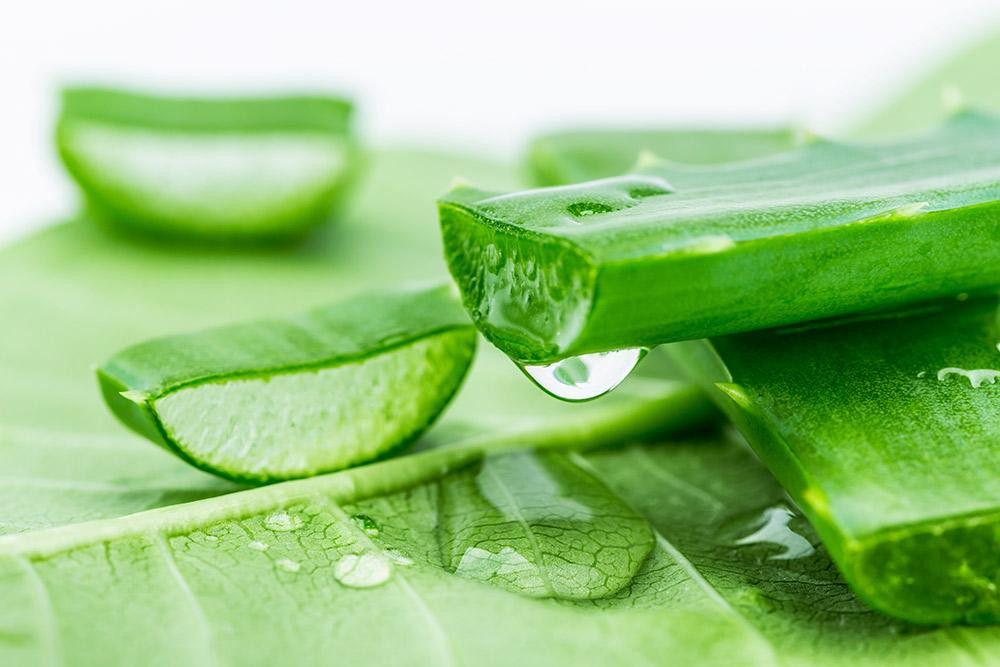 Da mặt bị mụn dị ứng thời tiết phải làm sao?