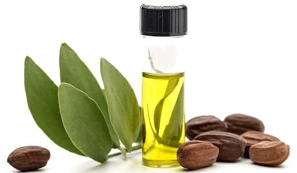 Dầu Jojoba trị tóc rụng hiệu quả