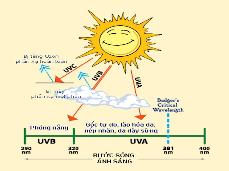 Kem chống nắng bảo vệ da khỏi tác hại của tia UV